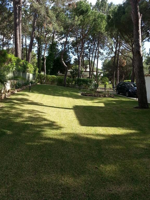 Villapinheiros Виламура Стая снимка